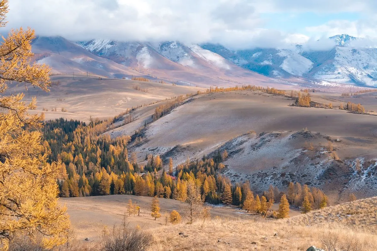 Altai – Bí mật thiên nhiên: hồ nước lấp lánh, núi non hùng vĩ và thung lũng ẩn giấu bí mật