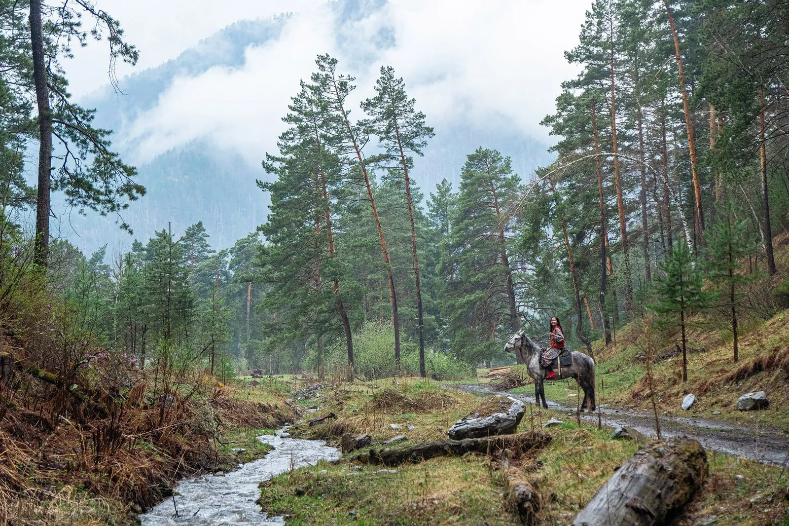 Những điều thú vị về Altai huyền bí: hành trình khám phá trái tim ma thuật Siberia