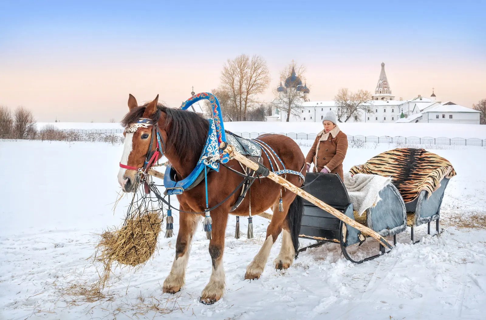 Xe trượt ngựa kéo trên tuyết trước nhà thờ ở Suzdal