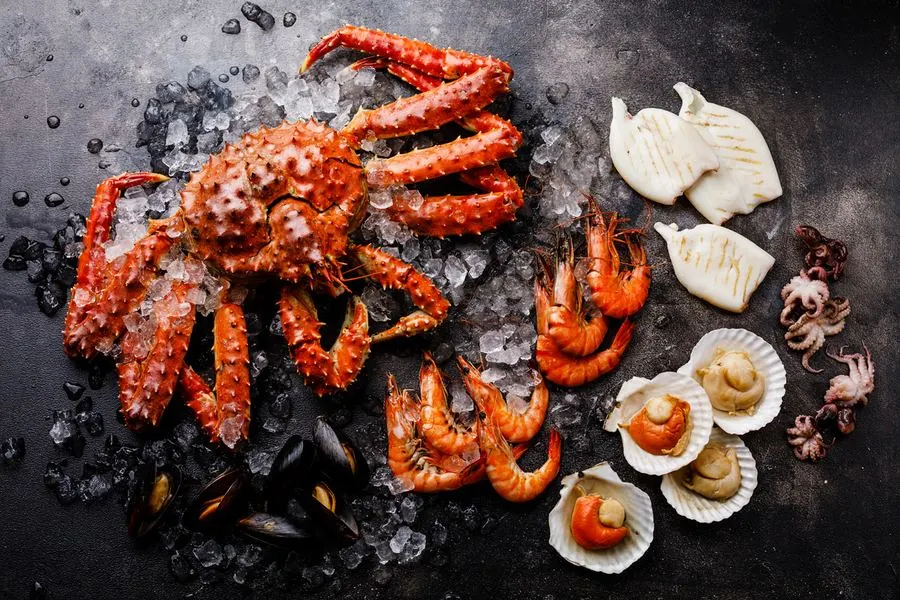 Câu cá và cua Hoàng đế trên tàu