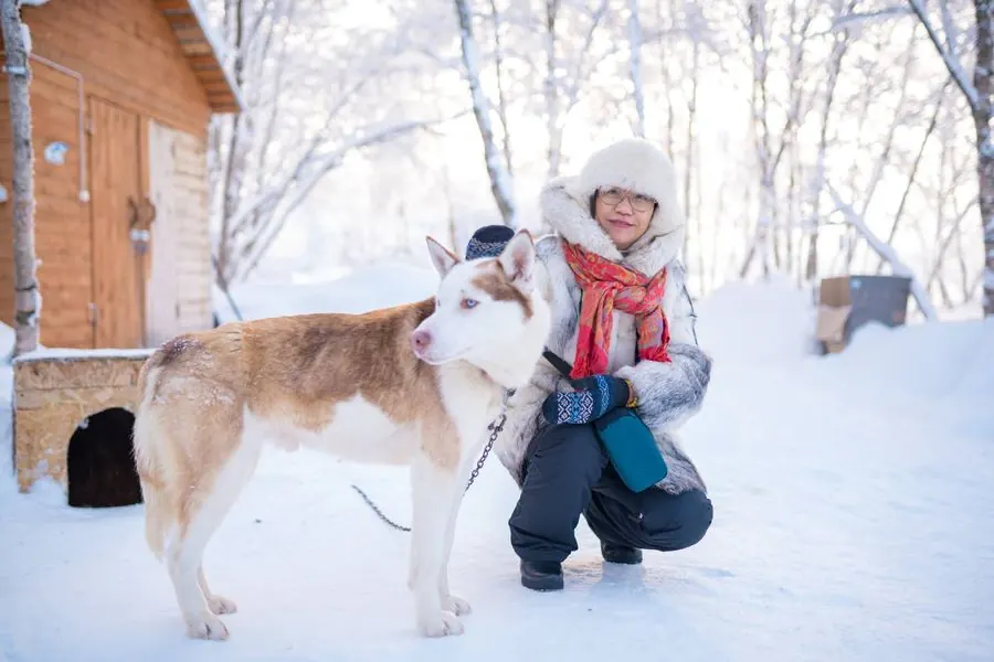 Người Sami và xe chó husky